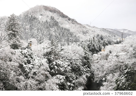 Yamanaka Onsen Yukino Tsurusenkei (Kishi, Ishikawa Prefecture) 37968602