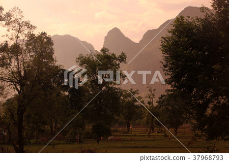 ASIA SOUTHEASTASIA LAOS KHAMMUAN REGION 37968793