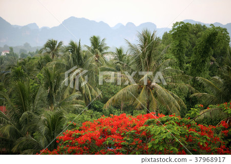 ASIA SOUTHEASTASIA LAOS KHAMMUAN REGION 37968917
