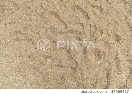 shoes print on dry sand for background 37969487