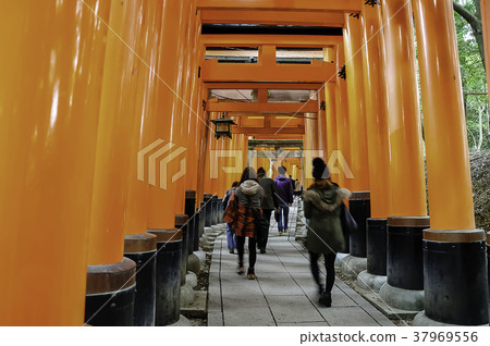 Japanese shrine in Kyoto 37969556
