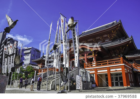 Japanese shrine 37969588