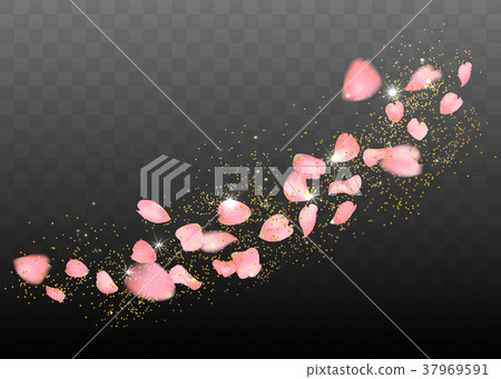 Pink sakura or rose falling petals 37969591