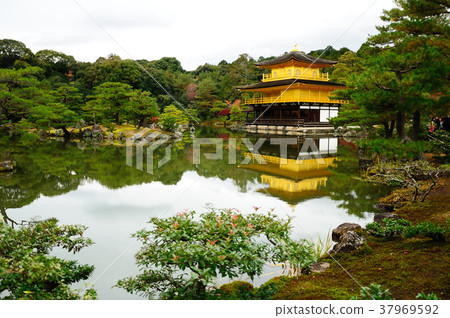 Kyoto golden temple Kyoto golden temple 37969592