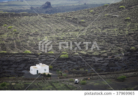 EUROPE CANARY ISLANDS LANZAROTE EUROPE CANARY ISLANDS LANZAROTE 37969965