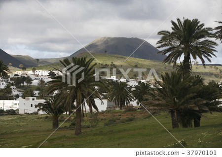 EUROPE CANARY ISLANDS LANZAROTE EUROPE CANARY ISLANDS LANZAROTE 37970101