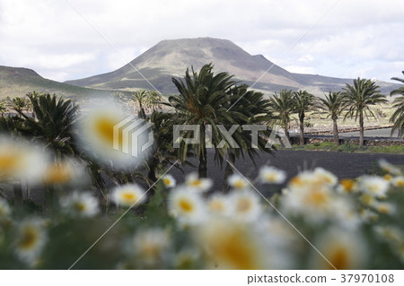 EUROPE CANARY ISLANDS LANZAROTE EUROPE CANARY ISLANDS LANZAROTE 37970108