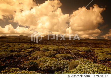 EUROPE CANARY ISLANDS LANZAROTE EUROPE CANARY ISLANDS LANZAROTE 37970113