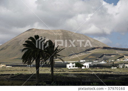 EUROPE CANARY ISLANDS LANZAROTE EUROPE CANARY ISLANDS LANZAROTE 37970168