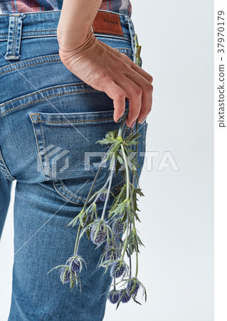 Beautiful blue flowers eryngium holds a woman 37970179