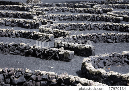 EUROPE CANARY ISLANDS LANZAROTE EUROPE CANARY ISLANDS LANZAROTE 37970184