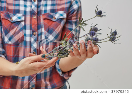 Hands of a girl holding blue flowers eryngium Hands of a girl holding blue flowers eryngium 37970245