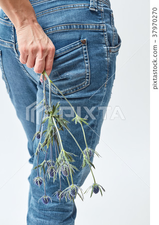 Beautiful blue flowers eryngium holds a woman 37970270