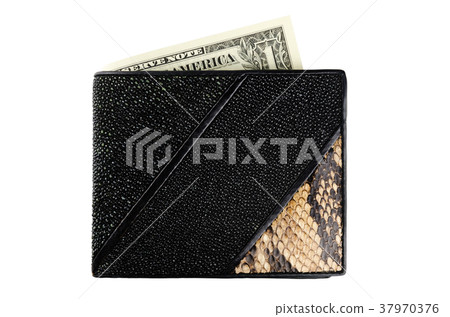 Wallet 37970376