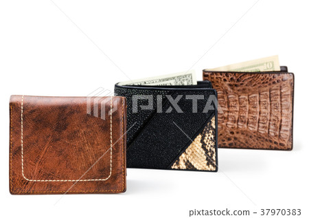 Wallets Wallets 37970383