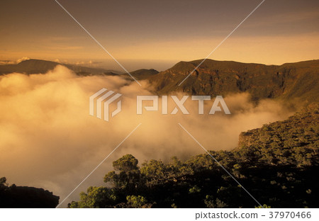 AFRICA FRANCE LA REUNION 37970466