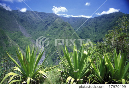 AFRICA FRANCE LA REUNION 37970499