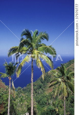 AFRICA COMOROS ANJOUAN 37970777
