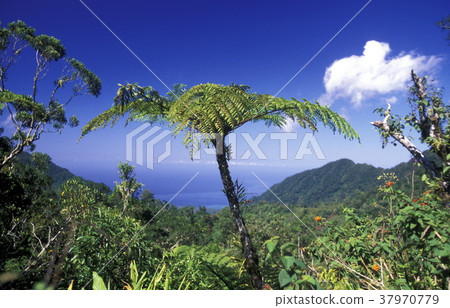 AFRICA COMOROS ANJOUAN AFRICA COMOROS ANJOUAN 37970779