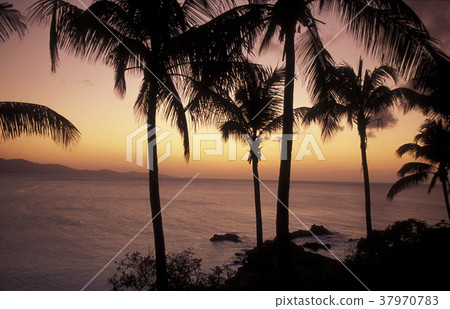 AFRICA COMOROS ANJOUAN 37970783
