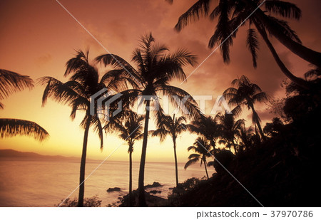 AFRICA COMOROS ANJOUAN 37970786