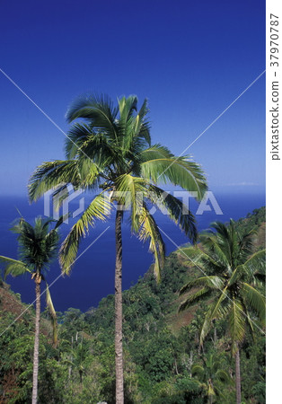 AFRICA COMOROS ANJOUAN 37970787