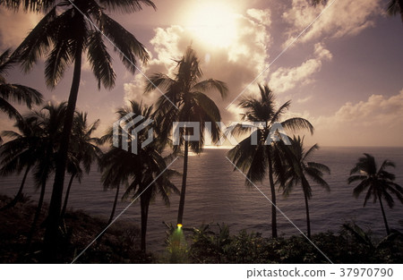 AFRICA COMOROS ANJOUAN 37970790