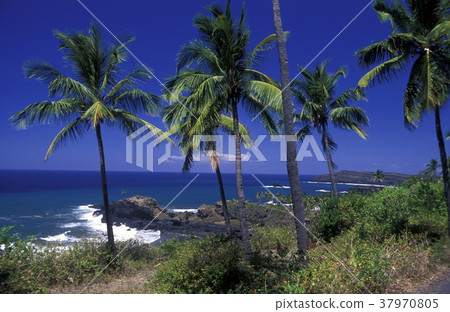 AFRICA COMOROS ANJOUAN AFRICA COMOROS ANJOUAN 37970805