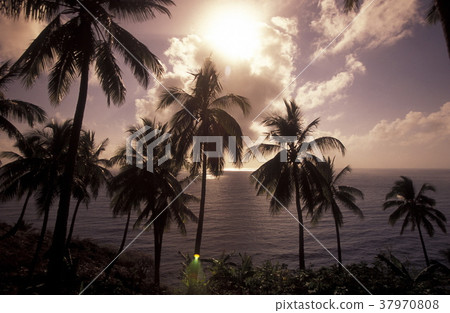 AFRICA COMOROS ANJOUAN 37970808