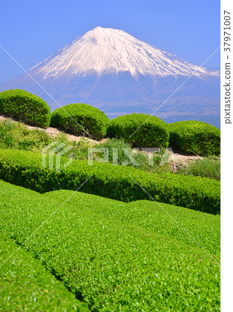從Iwamoto-333023山的春天風景 從Iwamoto-333023山的春天風景 37971007