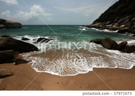 ASIA THAILAND KO TAO 37971073