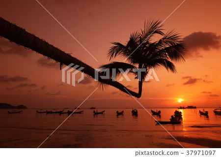 ASIA THAILAND KO TAO ASIA THAILAND KO TAO 37971097
