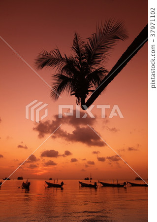 ASIA THAILAND KO TAO ASIA THAILAND KO TAO 37971102