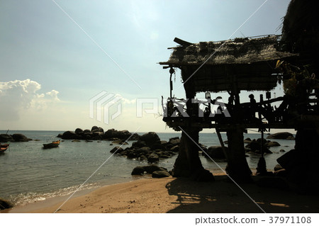 ASIA THAILAND KO TAO ASIA THAILAND KO TAO 37971108