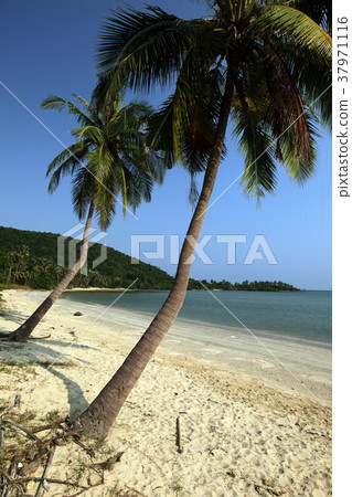 ASIA THAILAND CHUMPHON BEACH ASIA THAILAND CHUMPHON BEACH 37971116