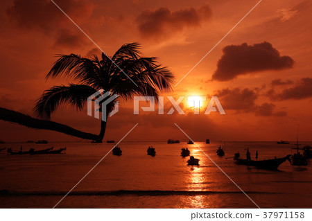 ASIA THAILAND KO TAO ASIA THAILAND KO TAO 37971158