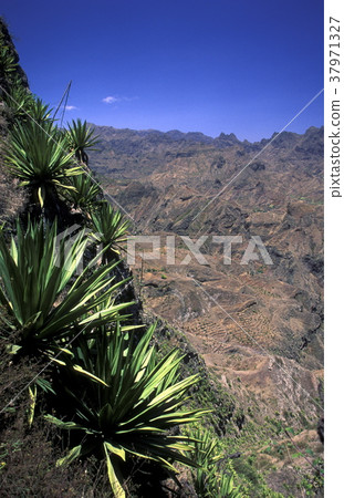 AFRICA CAPE VERDE SANTO ANTAO 37971327