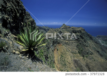 AFRICA CAPE VERDE SANTO ANTAO 37971328