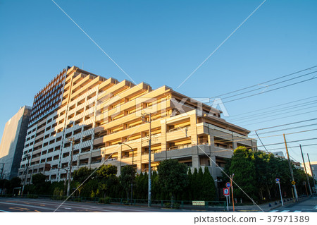 在早晨的陽光下階梯式的高層公寓 在早晨的陽光下階梯式的高層公寓 37971389