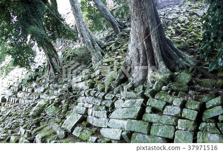 LATIN AMERICA HONDURAS COPAN LATIN AMERICA HONDURAS COPAN 37971516