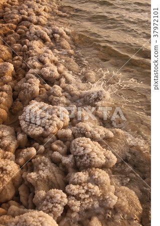 ASIA MIDDLE EAST JORDAN DEAT SEA 37972101