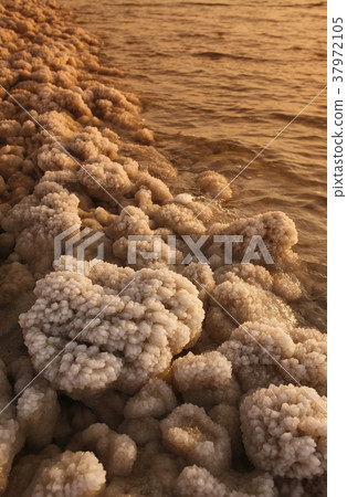 ASIA MIDDLE EAST JORDAN DEAT SEA ASIA MIDDLE EAST JORDAN DEAT SEA 37972105