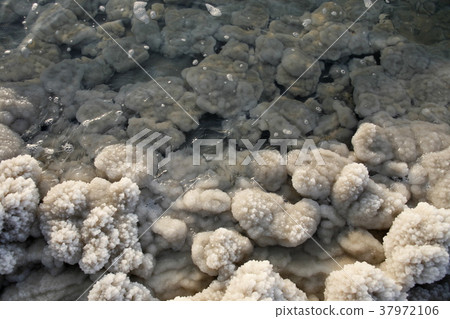 ASIA MIDDLE EAST JORDAN DEAT SEA 37972106