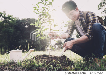 Young man planting the tree while Watering a tree working in the 37972564