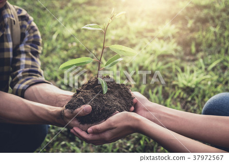 Young couple carrying a seedlings to be planted into the soil in 37972567