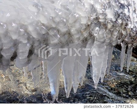 Toronto Lake icicles 2018 37972626