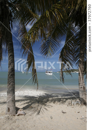 SOUTH AMERICA VENEZUELA ISLA MARGATITA SOUTH AMERICA VENEZUELA ISLA MARGATITA 37972760