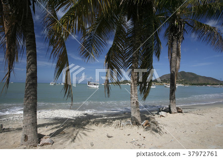 SOUTH AMERICA VENEZUELA ISLA MARGATITA SOUTH AMERICA VENEZUELA ISLA MARGATITA 37972761