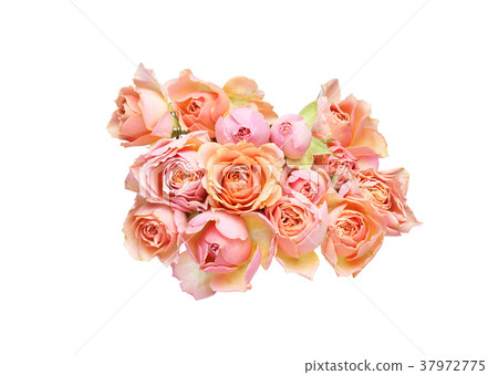 A bouquet of roses A bouquet of roses 37972775