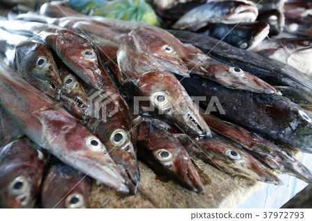 VENEZUELA ISLA MARGATITA JUANGRIEGO FISH MARKET 37972793